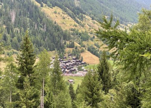 周邊環境, Haus Bortis in 尼德華爾德