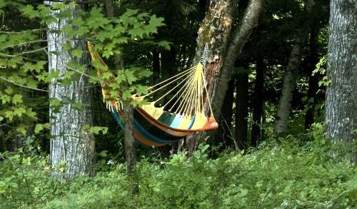 Custom Cabin Surrounded by River in Newfane, Vermont in 纽芬 (VT)