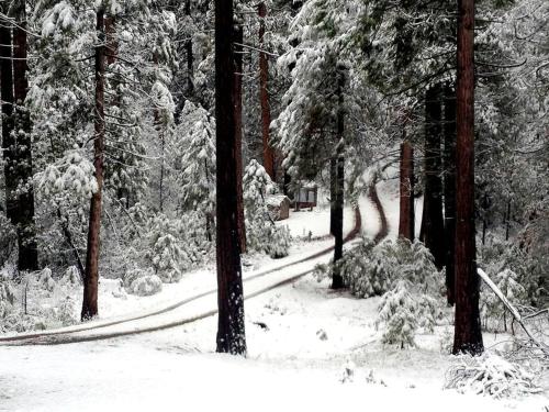 Family-Friendly Log Cabin Rental in California's Gold Country near Sacramento in Pioneer (CA)