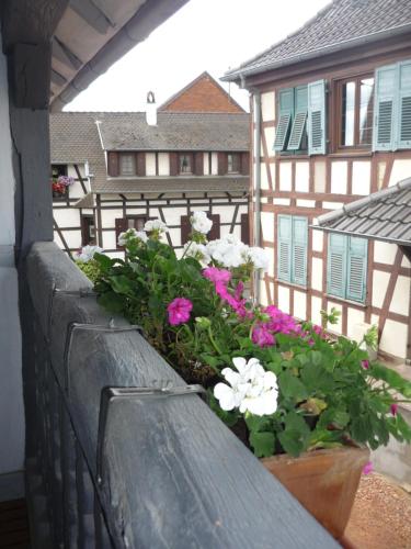 gîte de charme proximité de Strasbourg gîte à louer Eckwersheim