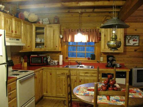Secluded Pet-Friendly Log Cabin near Asheville, North Carolina in Forest Hills (NC)