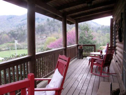 Secluded Pet-Friendly Log Cabin near Asheville, North Carolina in Forest Hills (NC)