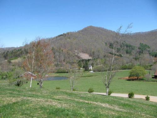 Secluded Pet-Friendly Log Cabin near Asheville, North Carolina in Forest Hills (NC)