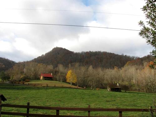 Secluded Pet-Friendly Log Cabin near Asheville, North Carolina in Forest Hills (NC)