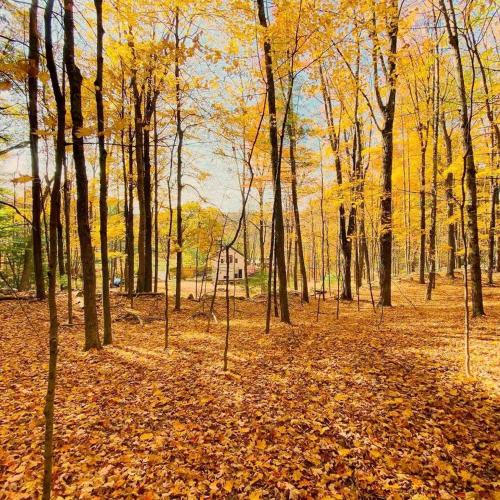 Modern Cottage Perfect for Glamping in New York State in Стон Рідж