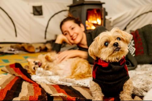 Piebald Mountain Pet Friendly Tents, Petersburg, New York in Cold Spring