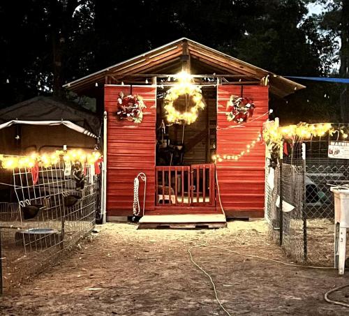 Rustic Bell Tent on a Texan Farm, Nestled in the Sam Houston National Forest, Perfect for a Weekend  in Cleveland (TX)