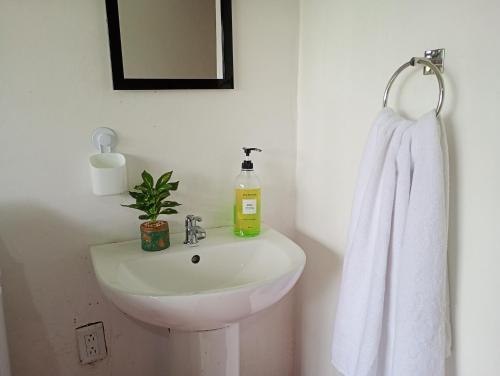 La casa de Río Celeste (La casa de Rio Celeste) in 瓜圖索