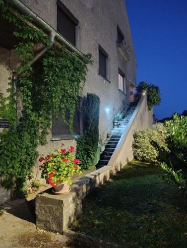 Villa Vero