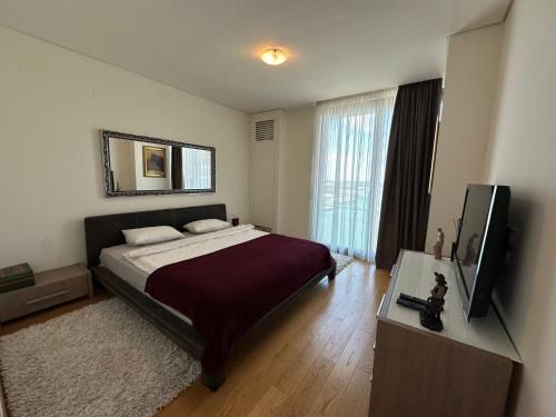 Belgrade Queen BW 5-Star Single Room room