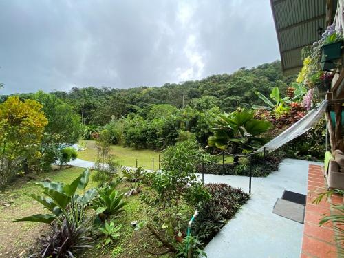 Cabin -Treehouse La Tigra - image 5