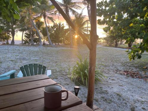 สภาพแวดล้อมโดยรอบ, Tetaha Lodge in ติปูตา