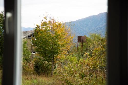 Dārzs, Cozy cottage with mountain view in Kobulety
