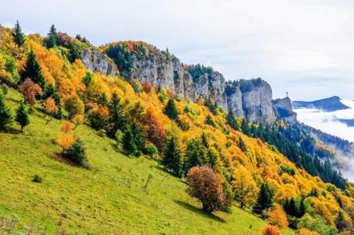 Appartement 1 à 4 personnes entre lacs vignes et montagnes (Appartement 1 a 4 personnes entre lacs vignes et montagnes) in Myans