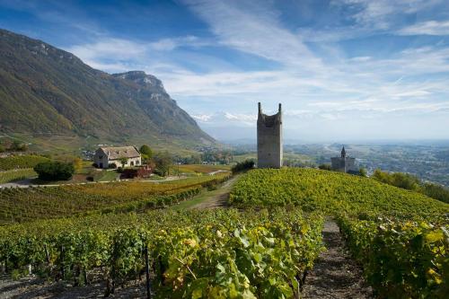 Appartement 1 à 4 personnes entre lacs vignes et montagnes (Appartement 1 a 4 personnes entre lacs vignes et montagnes) in Myans