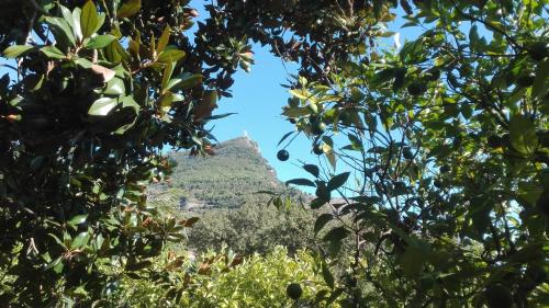 Hotel Villa Degli Aranci - image 4
