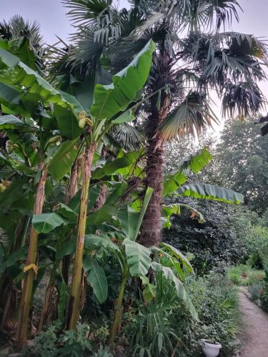 Village house Palma in Mingəcevir