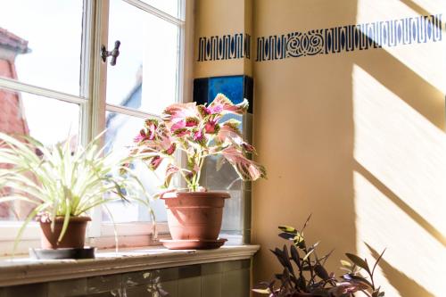 Modern design im klassischem Altbau Modern design im klassischem Altbau