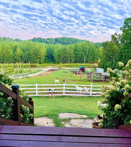 Kilátás, Sleepy Valley Cabin with Hot Tub & Scenic Views in Englewood (TN)