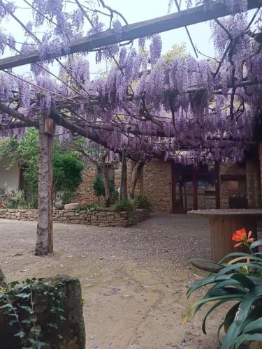 Agriturismo Furfullanu in Nurallao