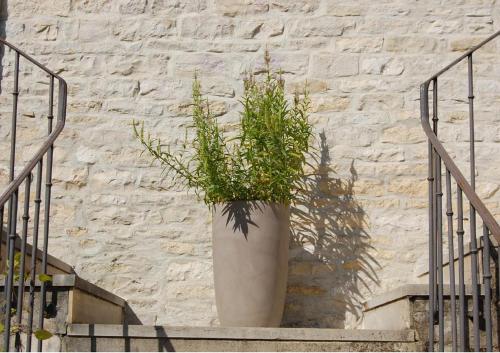 Domaine des Closeaux - image 3