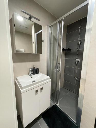 ห้องน้ำ, Apartmán FRIŠTENSKÉHO Olomouc (Apartman FRISTENSKEHO Olomouc) in เนเรดิน