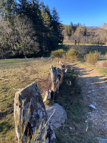 Nid au pied du Mont Caroux in 里布佐瑞奧