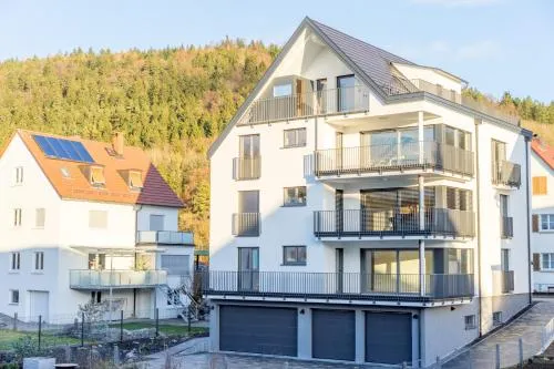L19 Tuttlingen in Tuttlingen, Deutschland