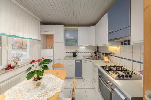 Apartma Franko
