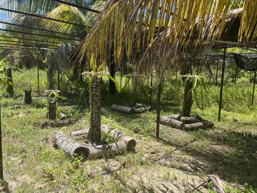 Motu ATAHIRI Camping in Tahaa