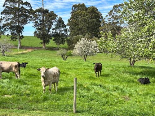 Grandad's farmhouse in Northcliffe
