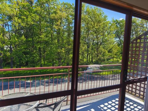 Aspen Lodge Motel in Hanmer Springs