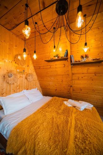 warm house - sunrise merisi