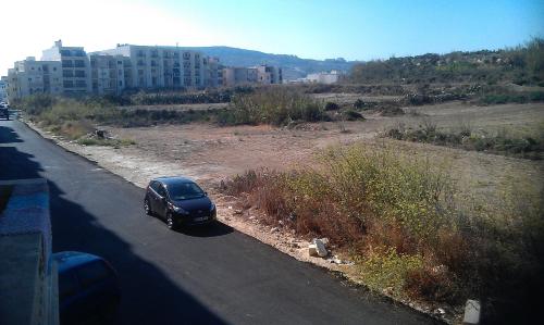 Coral Reef Flat 7 - image 12