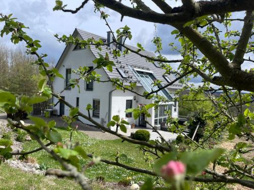 Ferienhaus am Dürrbachtal in Traindorf, Deutschland