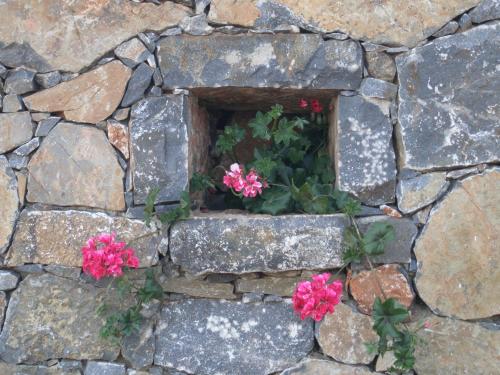 Villa Tholos Crete - image 9