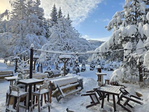 Casa Vlasin in Poiana Brasov