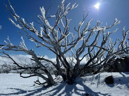Perisher stand alone chalet - available all year in Perisher Valley