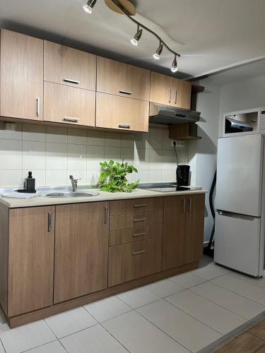 E 37 Downtown Apartments whit Garage opcional - image 36