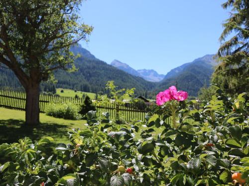 Hotel Schweizerhof Sta Maria