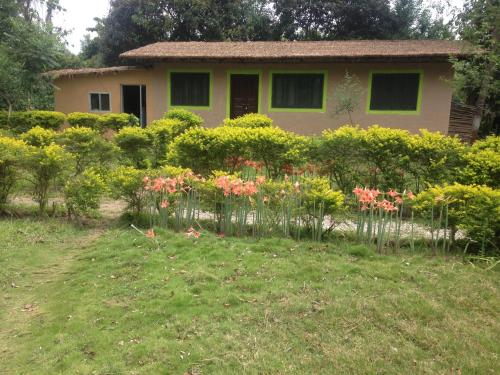 Surrounding environment, Shuklaphanta Jungle Cottage in Dhangadhi