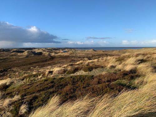 Ferienwohnung Min Leevsten Westerland auf Sylt - image 4