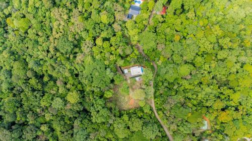 Modern Retreat in the Rainforest with River Access in Tortugal