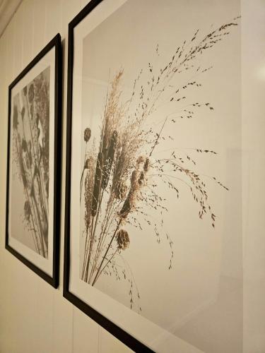 Fin 3-roms leilighet i Harstad sentrum in Harstad