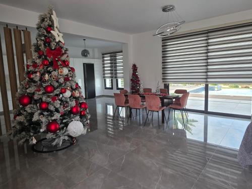 Eva Luxury Villa in Polis