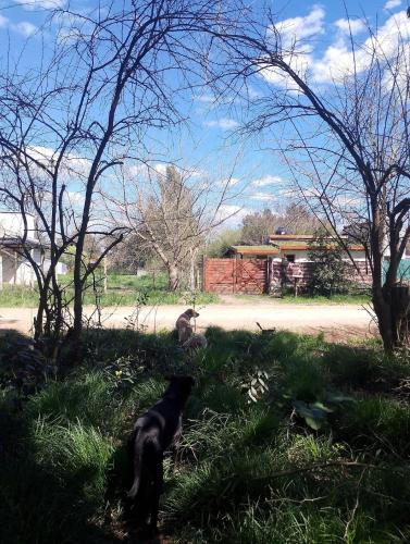 Casa Nido, Natural Immersion Close to Everything in San Vicente