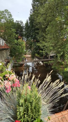 Altstadtapartment an der Krämerbrücke - image 6