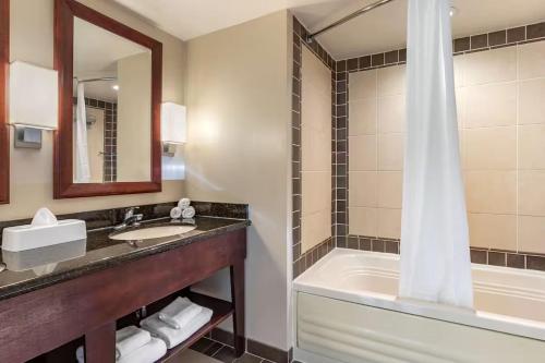Hilton Ocean Beach Club Resort Virginia Beach VA - 2BR Suite - image 2