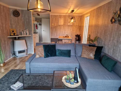 Veluwe Park Reewold-Chalet in Putten voor rust zoeker, Putten