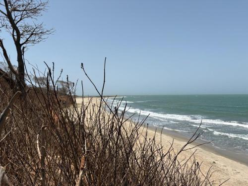 Tanji Bco Bird Resort in Tanji